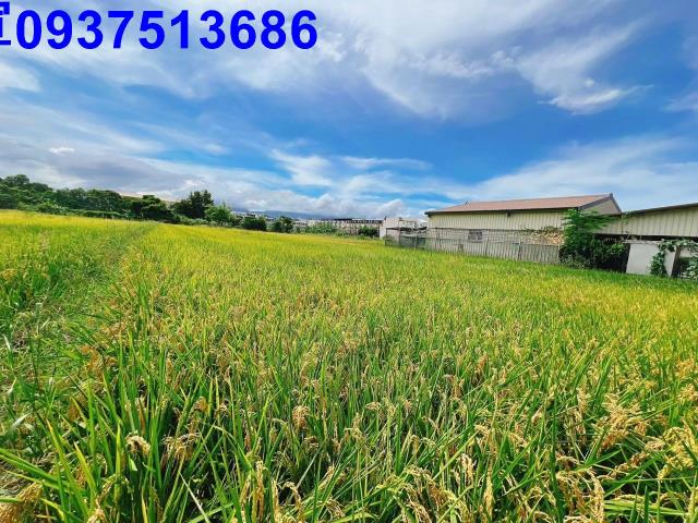 宜蘭壯圍農地-7