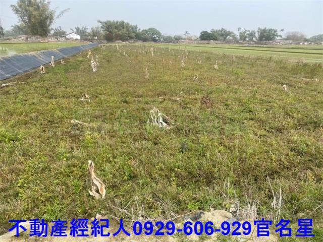 嘉義西區農地-3