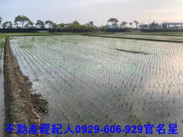 嘉義西區農地-1
