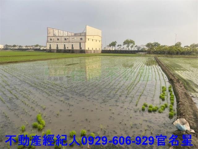 嘉義西區農地-4