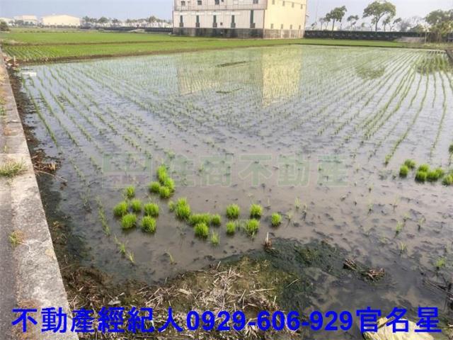 嘉義西區農地-5