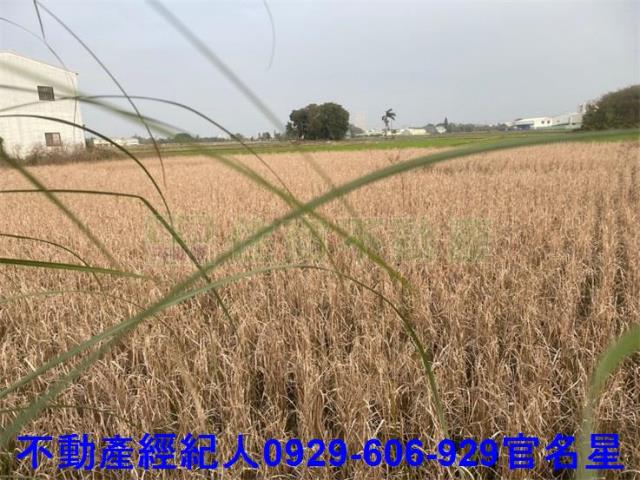 嘉義西區農地-1