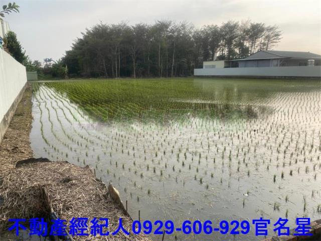 嘉義西區農地-2