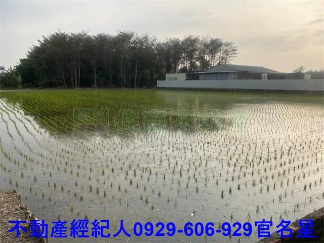 嘉義西區農地-4