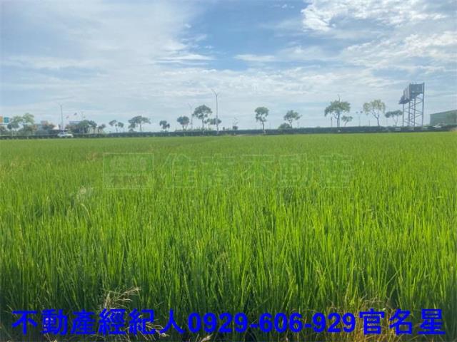 嘉義西區農地-1