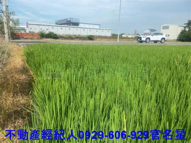 嘉義西區農地-2