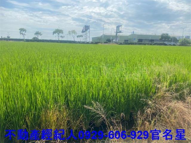 嘉義西區農地-3