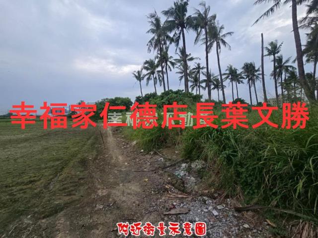 台南仁德農地-6