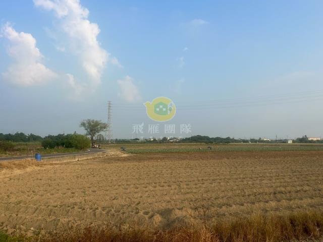 台南農地-5