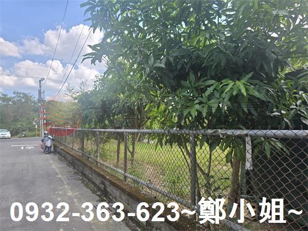 桃園農地-1