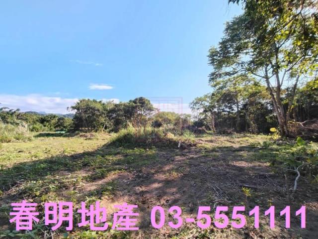 新竹關西農地-5