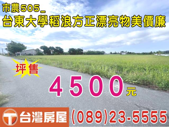 台東台東市農地-9