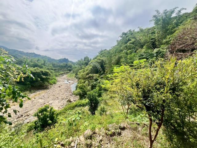 南投中寮農地-8