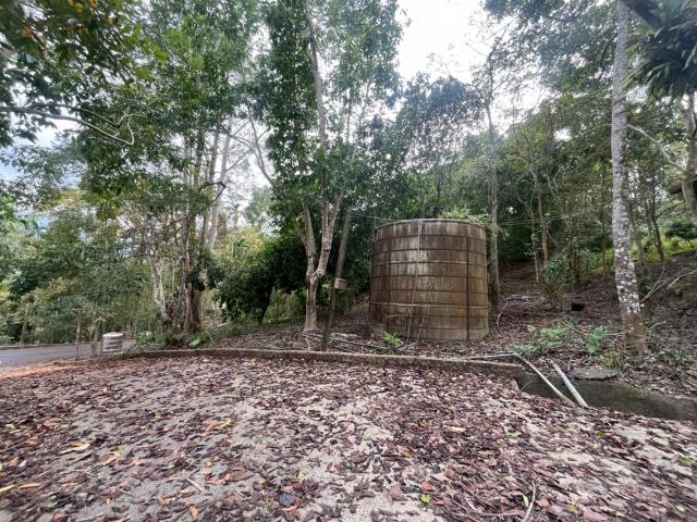 南投鹿谷農地-8