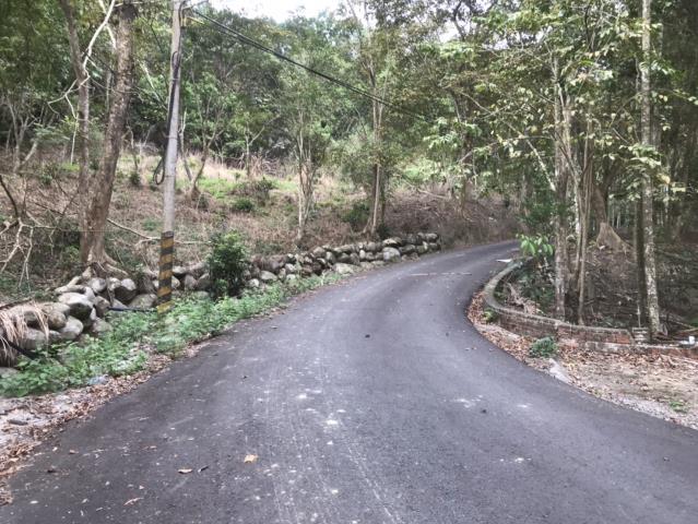 南投鹿谷農地-9