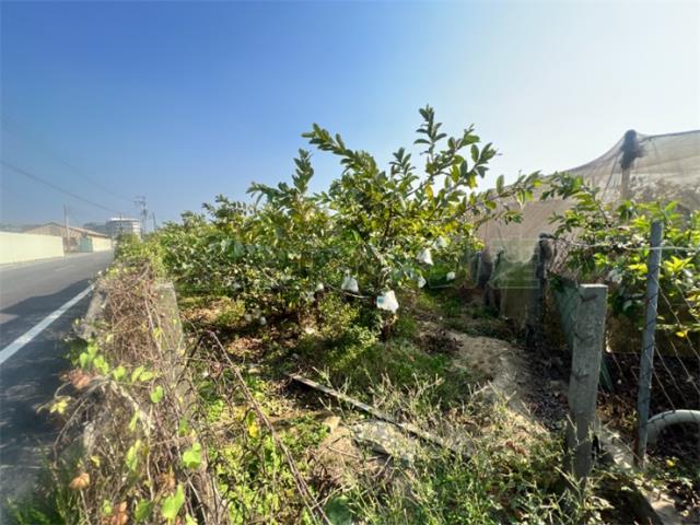 高雄燕巢農地-3