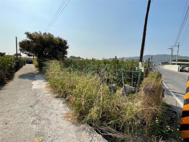 高雄燕巢農地-4
