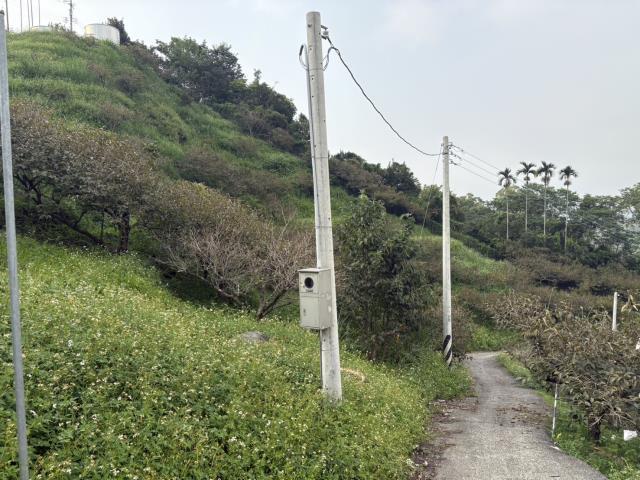 台中東勢山坡地-4