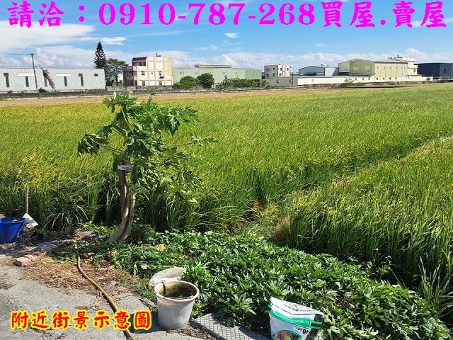 彰化秀水農地-13