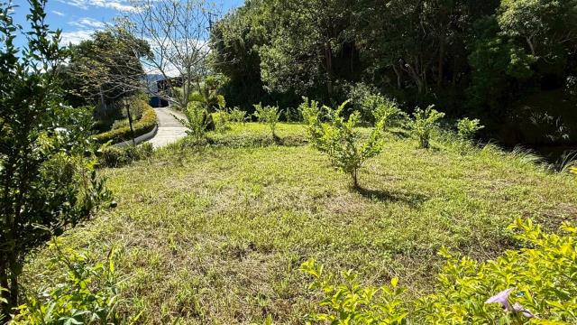 新竹橫山農地-10