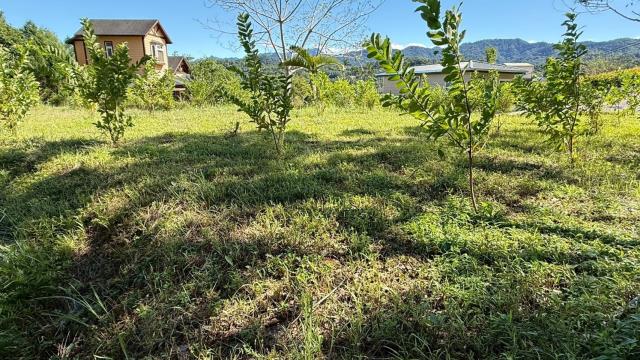 新竹橫山農地-11