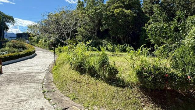 新竹橫山農地-13