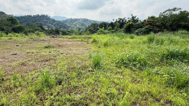 新竹橫山農地-3