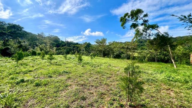 新竹竹東農地-1