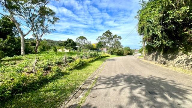 新竹竹東農地-15