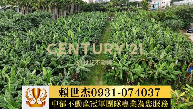 南投草屯農地-14