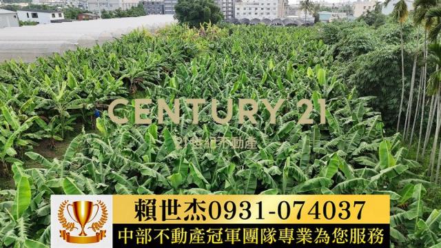 南投草屯農地-4