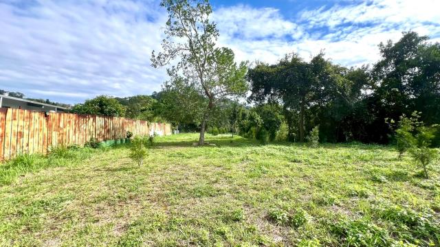 新竹竹東農地-7