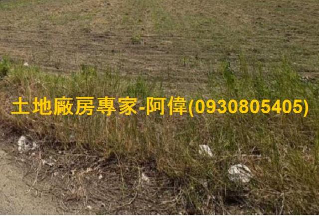 台南永康農地-1