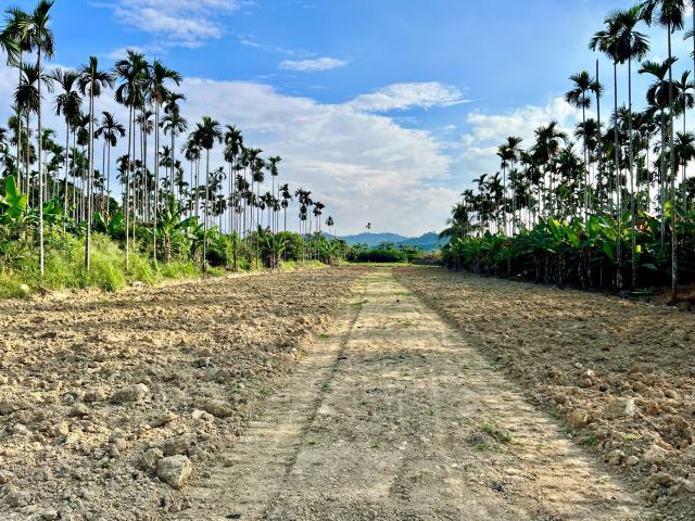 南投中寮農地-2