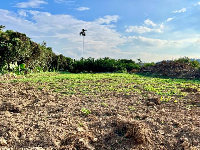 南投中寮農地-6