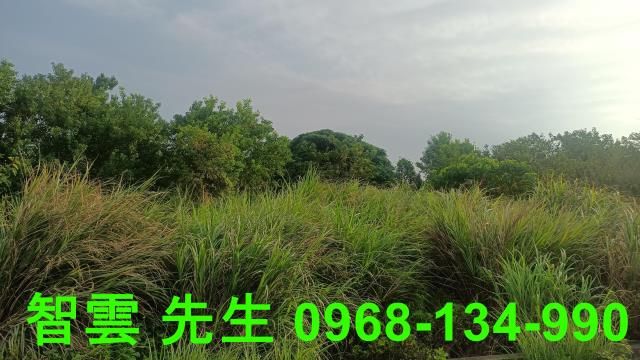 桃園觀音建地-1