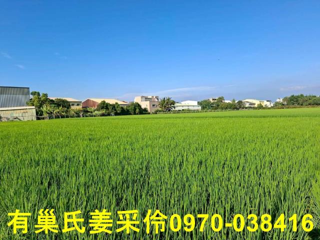 嘉義西區農地-8