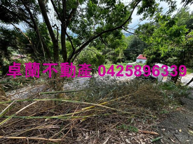 苗栗卓蘭農地-8