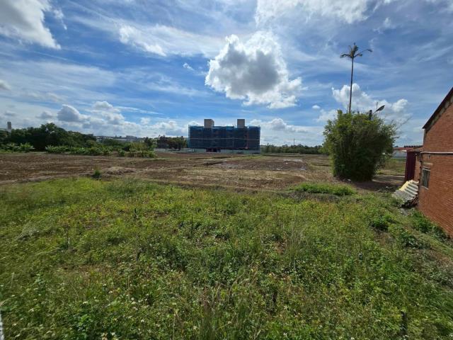 桃園新屋農地-6