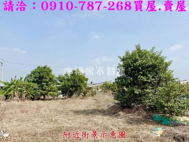 台南農地-7