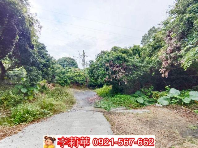 台南楠西農地-3