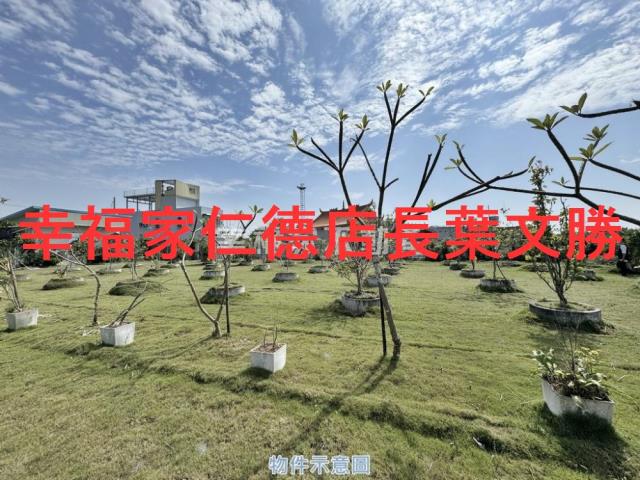 台南七股農地-10