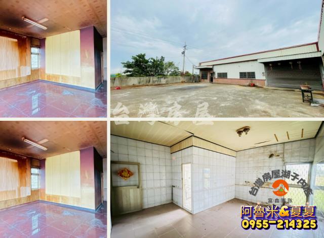 嘉義溪口農地-7