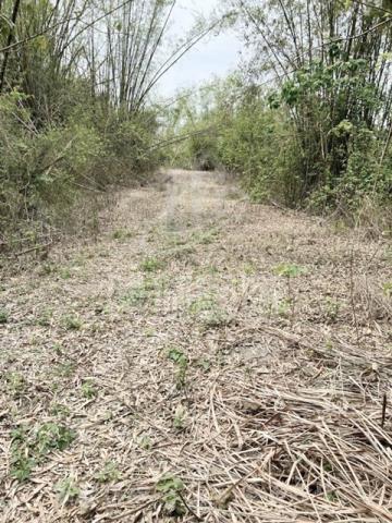 台南龍崎農地-1