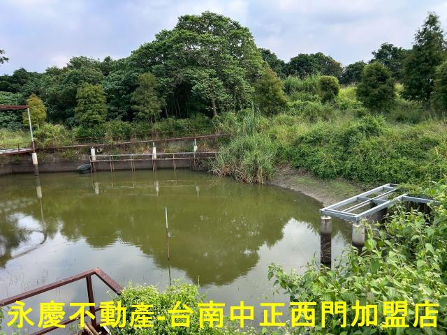 台南楠西農地-11