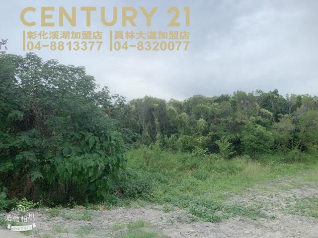 彰化溪湖農地-5