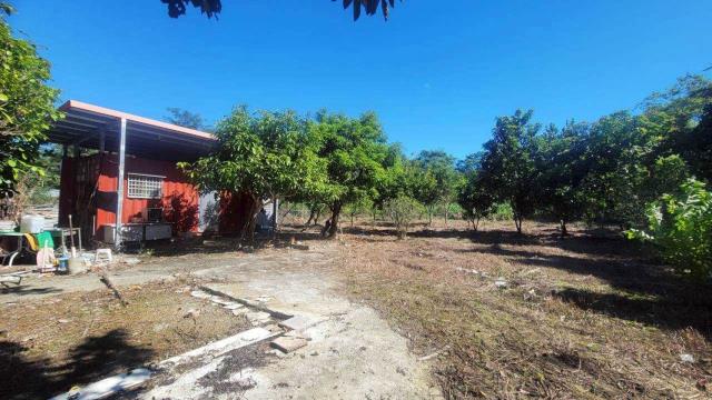 新竹橫山農地-2