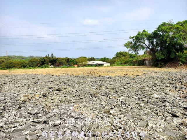 台南新化農地-1