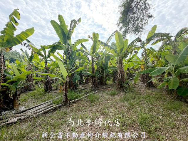 台南左鎮農地-3