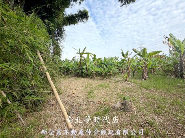 台南左鎮農地-6